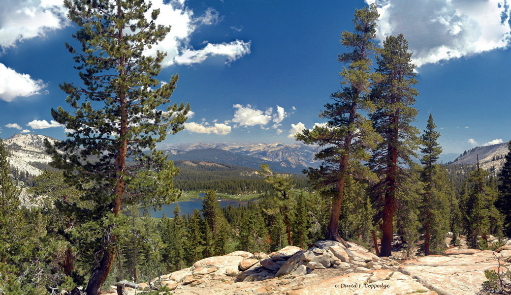 crown lake from crown pass